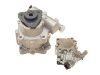 Power Steering Pump:8D0 145 156 F