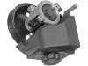 Power Steering Pump:6819751