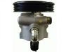 Hydraulikpumpe, Lenkung Power Steering Pump:4007.V8