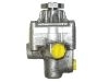 Power Steering Pump:60587318