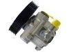 Power Steering Pump:4007.N6