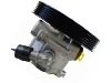 转向助力泵 Power Steering Pump:4007.N2