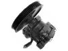 转向助力泵 Power Steering Pump:49100-60A00