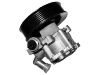 Power Steering Pump:002 466 39 01